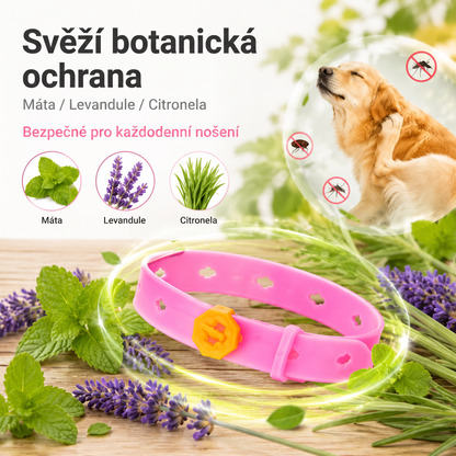 PKNEW®🐾 Kompletní péče pro vašeho mazlíčka 🍇2v1❤️ kartáč proti línání + nastavitelný obojek pro psy a kočky