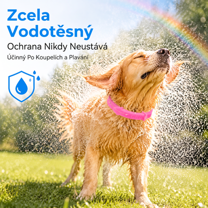 PKNEW®🐾 Kompletní péče pro vašeho mazlíčka 🍇2v1❤️ kartáč proti línání + nastavitelný obojek pro psy a kočky