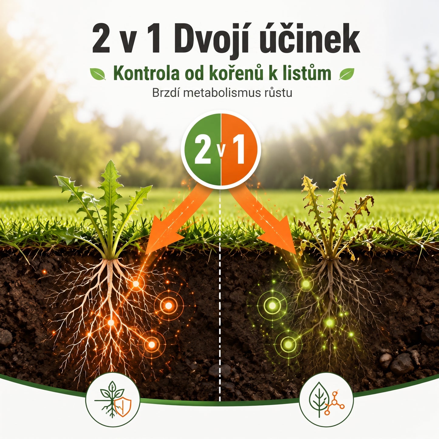 PKNEW® 🌿 Granulovaný přípravek proti plevelu 2 v 1 Max Power🍇 – viditelný účinek již za 6 hodin, snadné rozmíchání ve vodě a cílené použití na spáry, cesty, ploty i štěrkové plochy