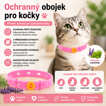 PKNEW®🐾 Kompletní péče pro vašeho mazlíčka 🍇2v1❤️ kartáč proti línání + nastavitelný obojek pro psy a kočky