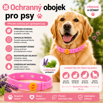 PKNEW®🐾 Kompletní péče pro vašeho mazlíčka 🍇2v1❤️ kartáč proti línání + nastavitelný obojek pro psy a kočky