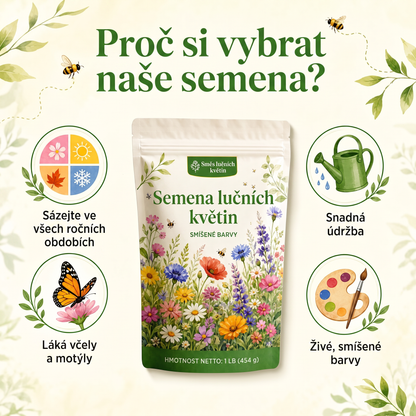 🌻 Nejlepší semínka ostálek pro zahradu plnou barev🍇 – Směs pro řezané květiny Giant & Dwarf, snadno pěstovatelné letničky, Heirloom semínka s vysokou klíčivostí pro zahrady přátelské k motýlům a včelám 🦋🐝